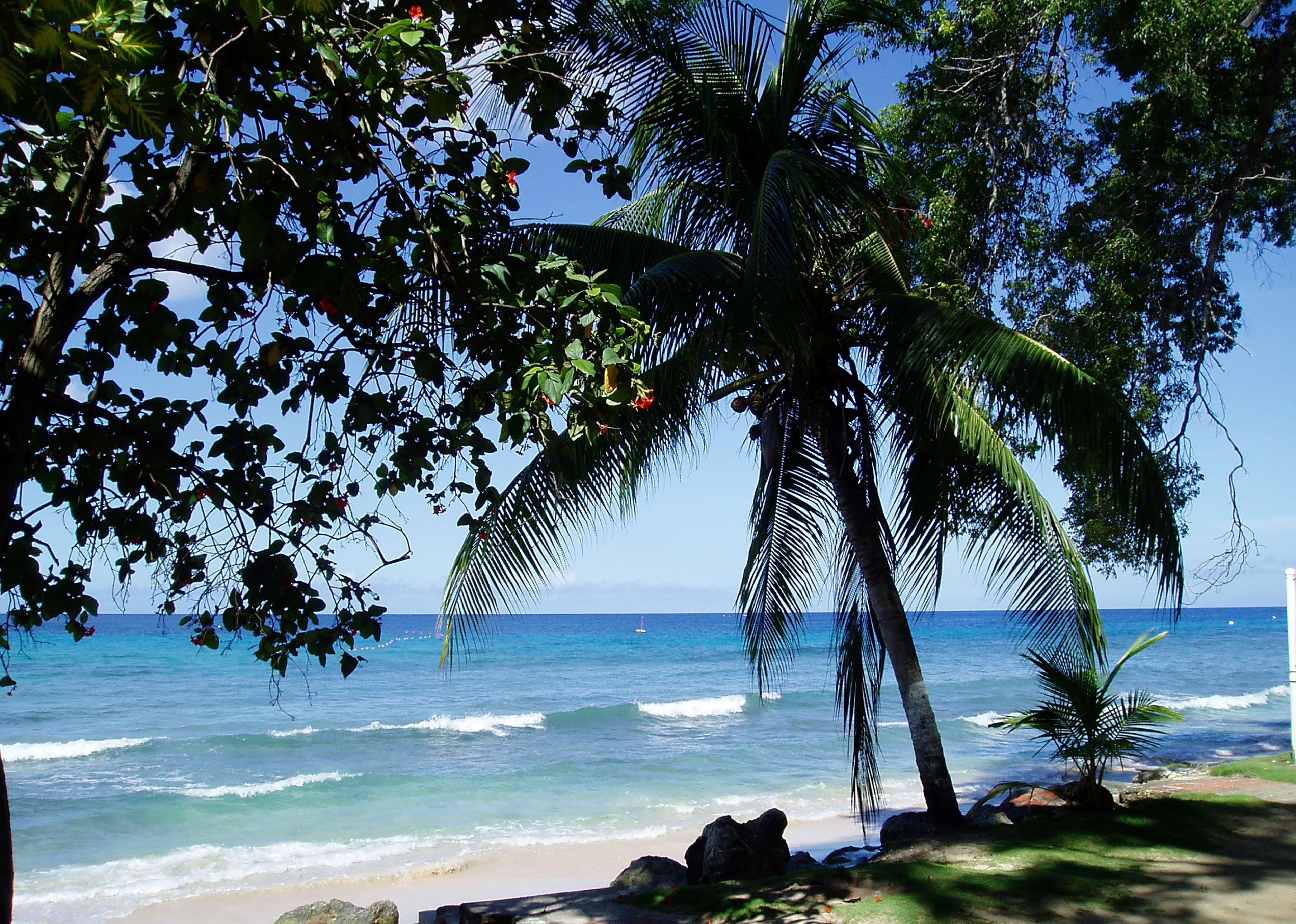 Divi Southwinds Beach Resort Christ Church Kültér fotó